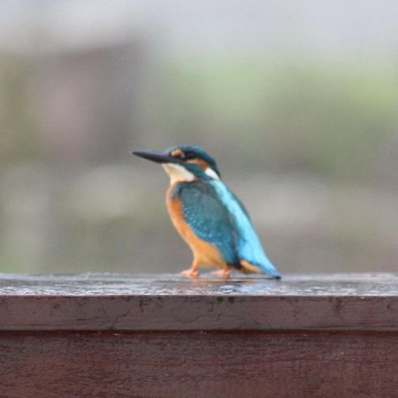 River Cottage Balledent Экстерьер фото