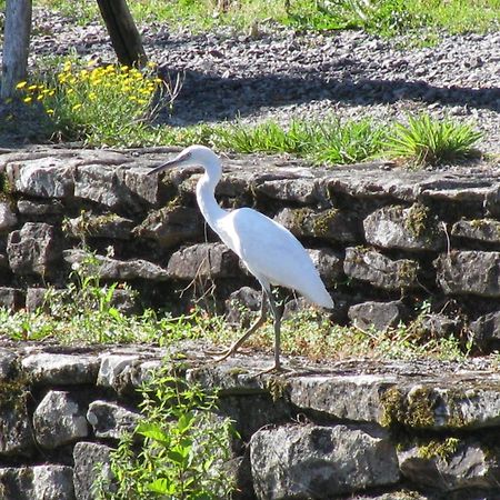 River Cottage Balledent Экстерьер фото