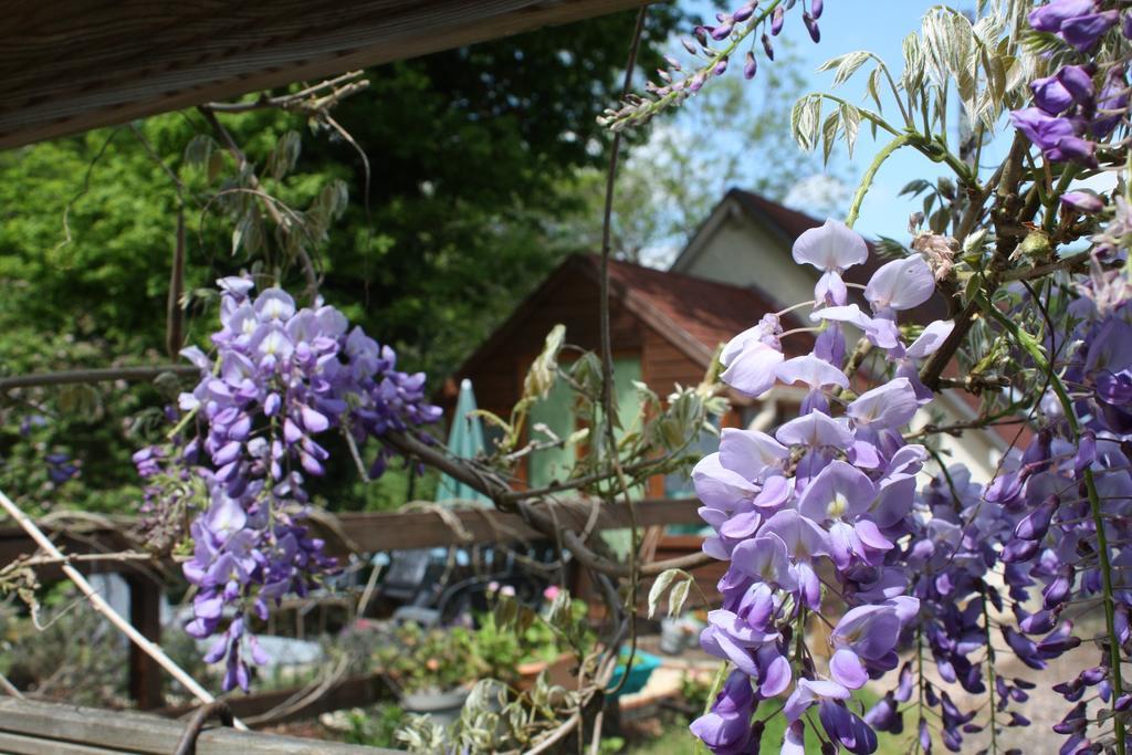 River Cottage Balledent Экстерьер фото